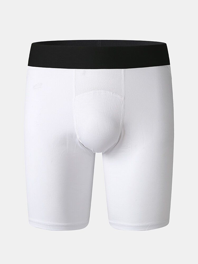 Enfärgad Stretch Slim Snabbtorkande Mesh-genen Sport Fitness Shorts