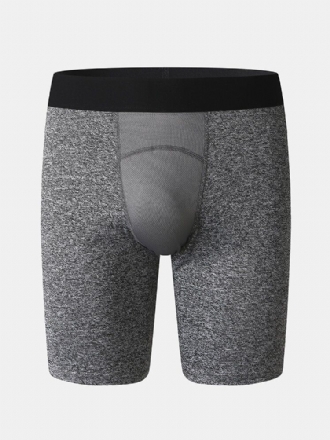 Enfärgad Stretch Slim Snabbtorkande Mesh-genen Sport Fitness Shorts