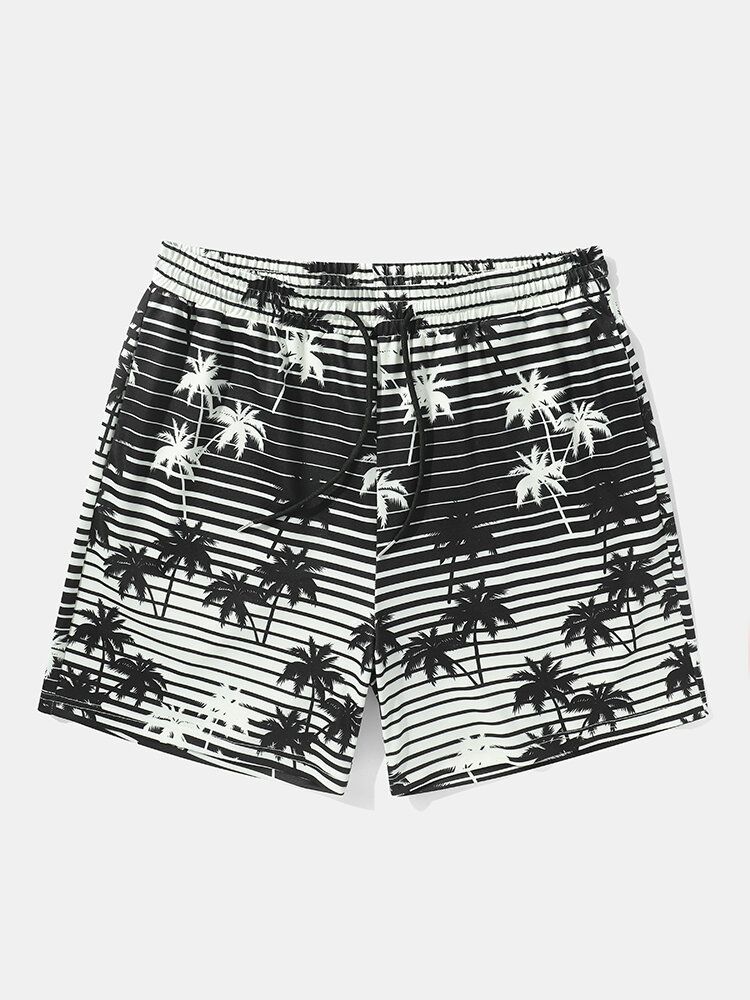 Coconut Tree Randigt Tryck Holiday Loose Shorts Med Dragsko För Män