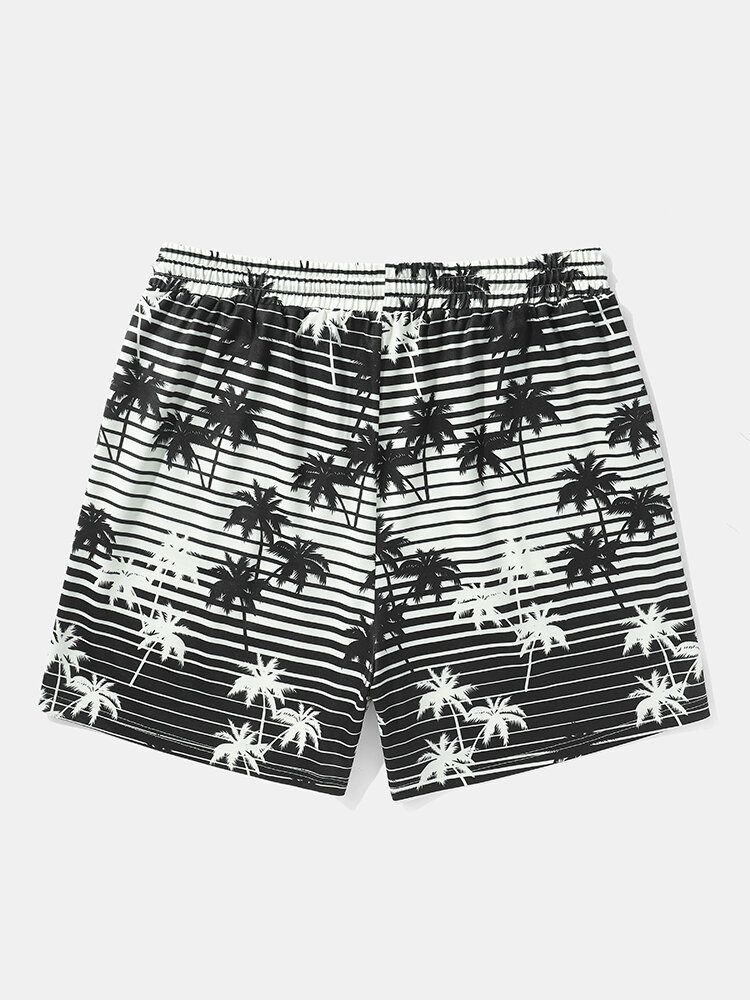 Coconut Tree Randigt Tryck Holiday Loose Shorts Med Dragsko För Män