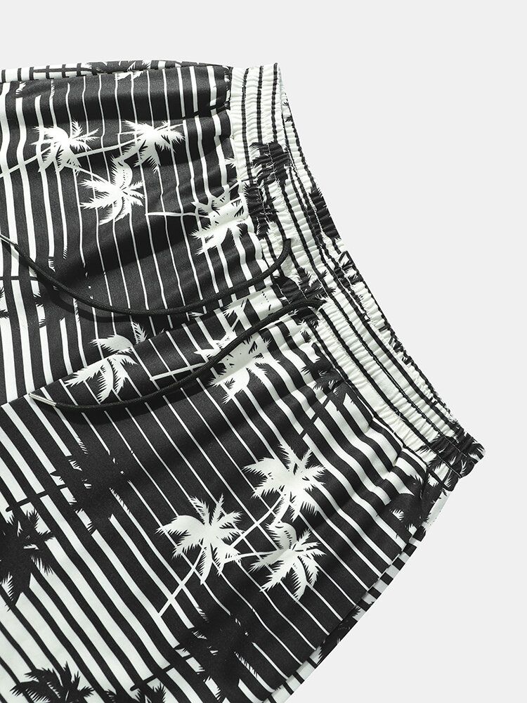 Coconut Tree Randigt Tryck Holiday Loose Shorts Med Dragsko För Män