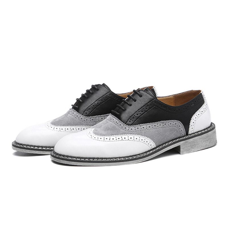 Herr Brogue Colorblock Oxfords Snörning Business Casual Formell Skor